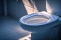 Astuces d’entretien WC pour éviter l’intervention d’un plombier